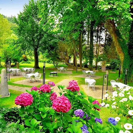 Hechtsberg 3* Hausach