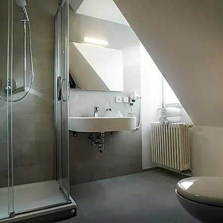 Otel Hechtsberg Hausach